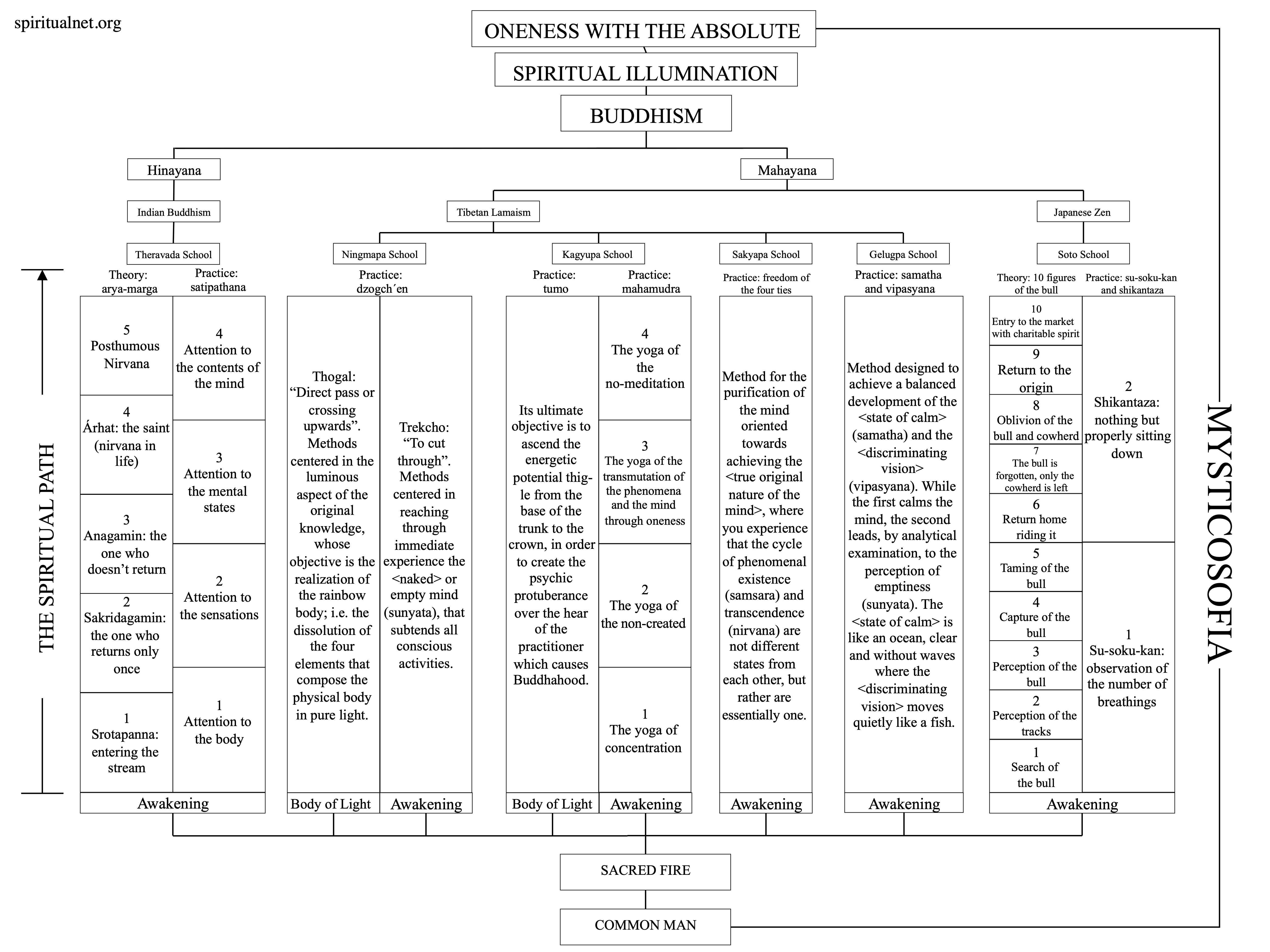 The Spiritual Path in Buddhism